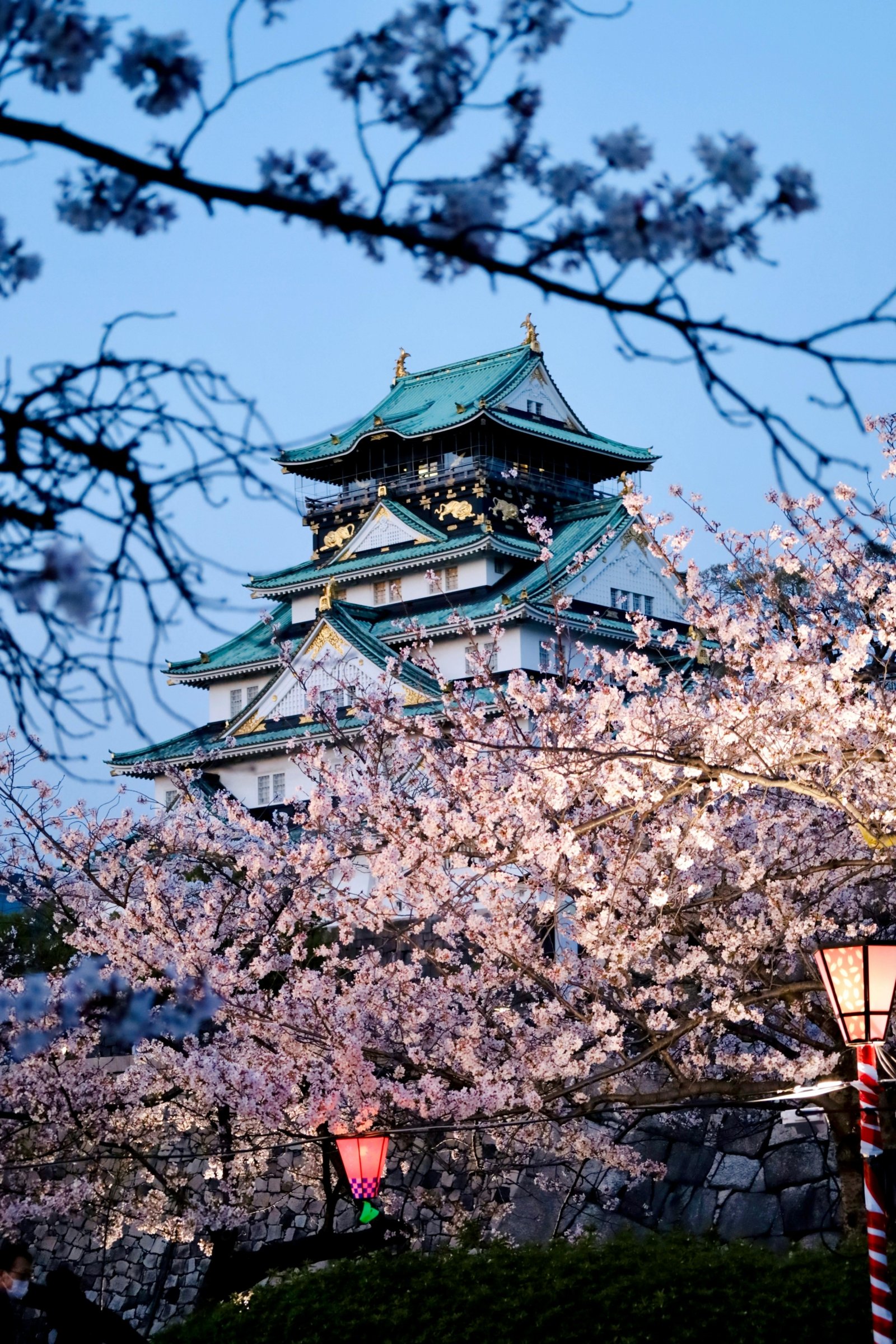 Khám Phá Tinh Hoa Nhật Bản 8 Ngày: Tokyo – Phú Sĩ – Kyoto – Nara – Osaka